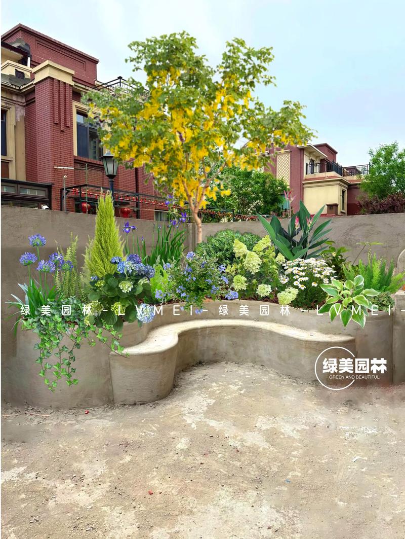 小雏菊搭配方案:与这些花组合,打造阳台与庭院花境 修剪促花系统指导