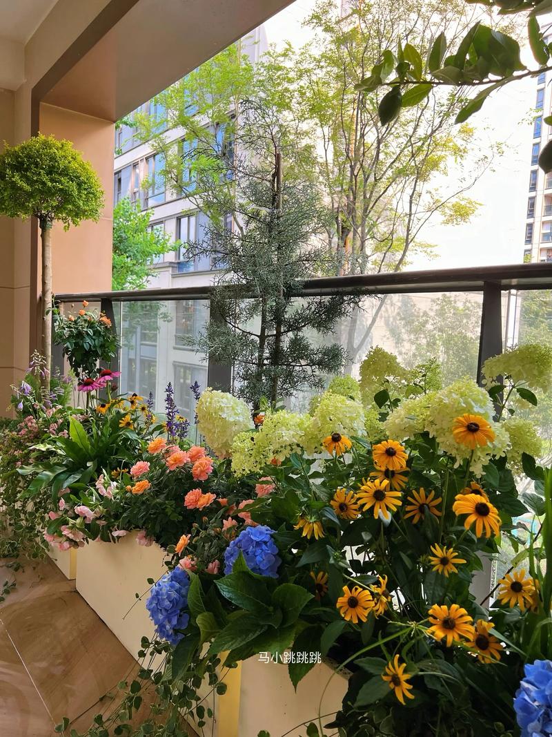 小雏菊搭配方案:与这些花组合,打造阳台与庭院花境 光照与水肥精准方案(按季节)