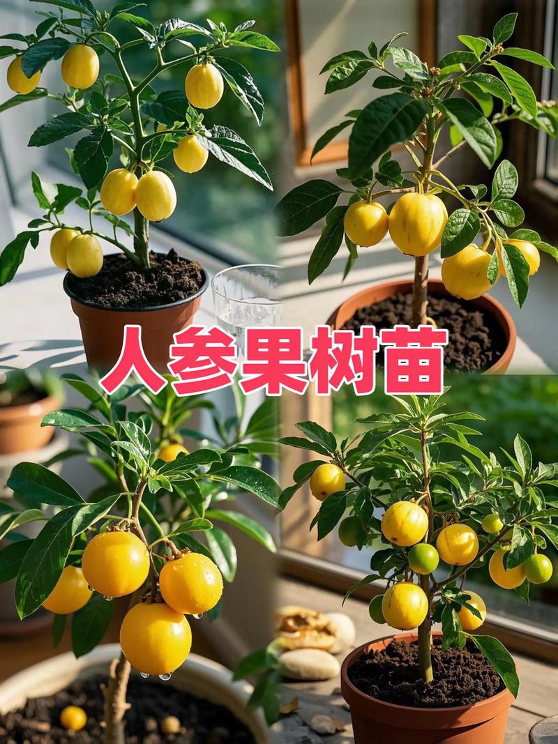 刚买的果树苗怎么种成活率高?掌握这7个环节,成活率超95% 5. 浇定根水:一次浇透,浇后培土
