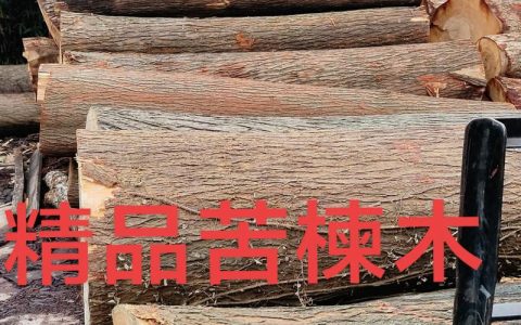 苦木苗价格：2025年最新市场参考与影响因素全解析