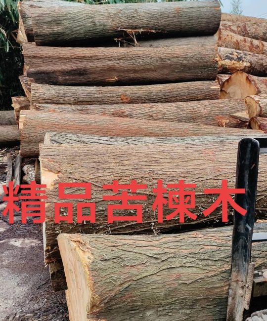 苦木苗价格：2025年最新市场参考与影响因素全解析