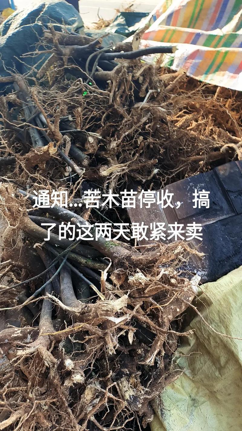 运输因素：物流成本占终价的10%-30%