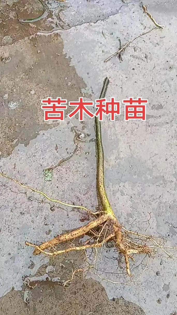 关键因素汇总表