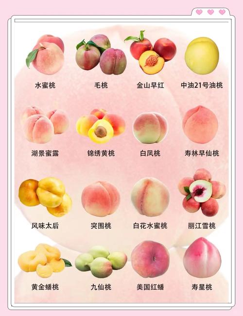 晚熟桃品种对比:中华寿桃、映霜红与金秋红蜜怎么选? 五、总结