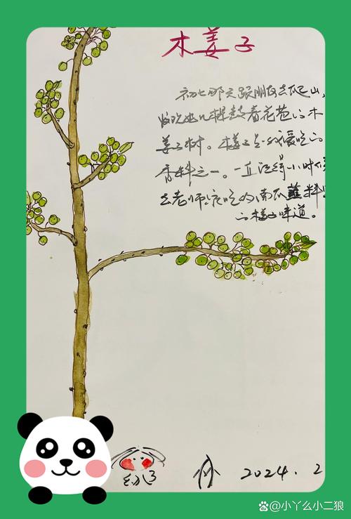 风味与用途：香味与辣味的不同来源