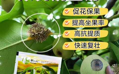 哪些果树病虫害少好管理？家庭种植首选这几种，附全年养护要点