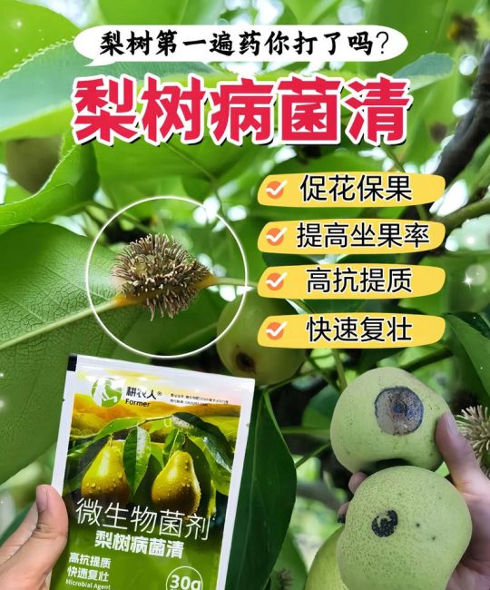 哪些果树病虫害少好管理？家庭种植首选这几种，附全年养护要点