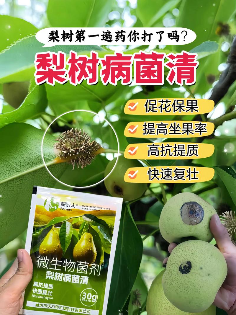哪些果树病虫害少好管理?家庭种植首选这几种,附全年养护要点 哪些果树病虫害少好管理?家庭种植首选这几种,附全年养护要点