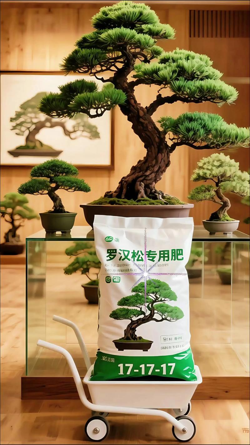 刚栽的罗汉松什么时候用肥?新手必读的施肥时机与技巧 刚栽的罗汉松什么时候用肥?新手必读的施肥时机与技巧