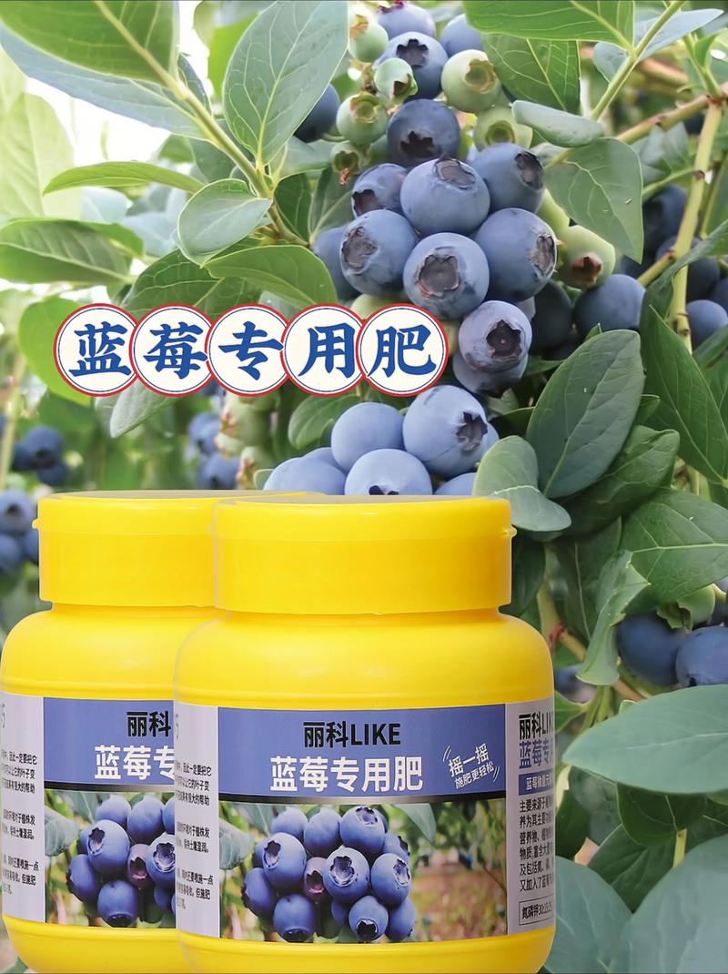 蓝莓专用肥可以给其他植物用吗？专业园艺师解答