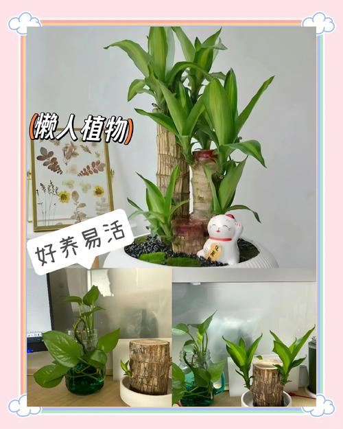 四、土壤与施肥