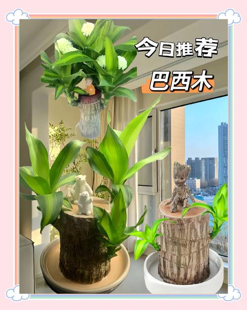 七、常见误区纠正