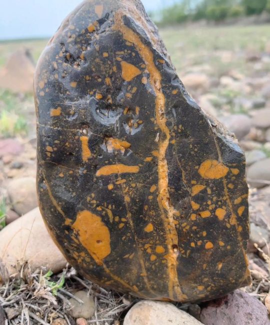 草花石什么样的值钱？从纹理、画意到稀缺性全面解析