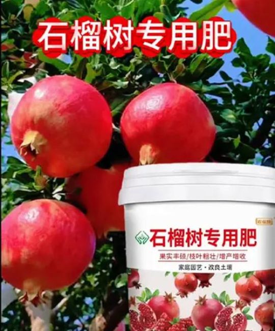 石榴树施肥用什么肥料？家庭种植与果园高产施肥全攻略