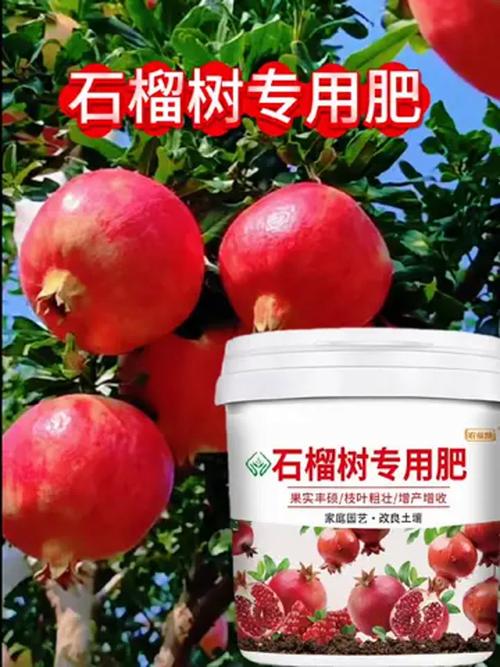 石榴树施肥用什么肥料？家庭种植与果园高产施肥全攻略
