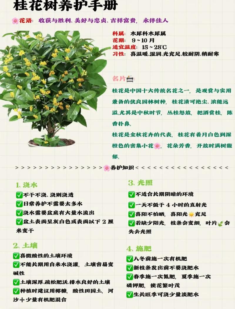 原生桂花在北方好养吗?数据化指南帮你判断 总结