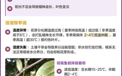 今年桂花为什么不开花？常见原因与排查步骤全解析