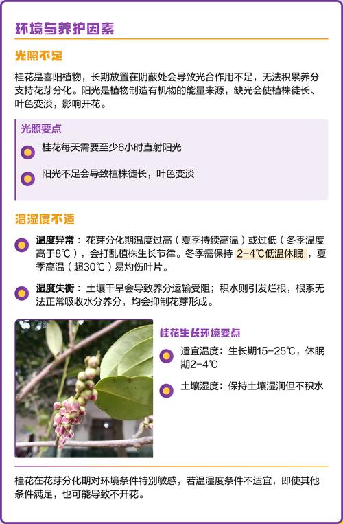 今年桂花为什么不开花?常见原因与排查步骤全解析 常见原因列表