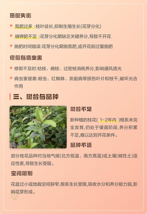 今年桂花为什么不开花?常见原因与排查步骤全解析 常见问题解答(FAQ)