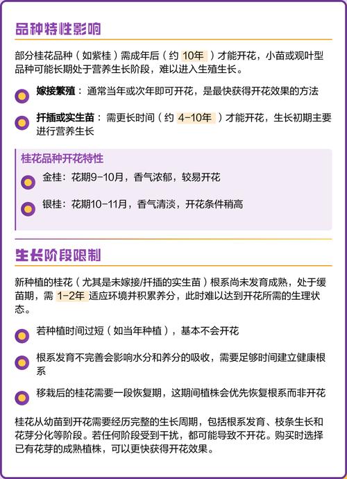 今年桂花为什么不开花?常见原因与排查步骤全解析 处理办法