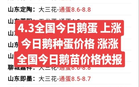 今日鹅苗价格是多少？2025年最新报价与影响因素全解析