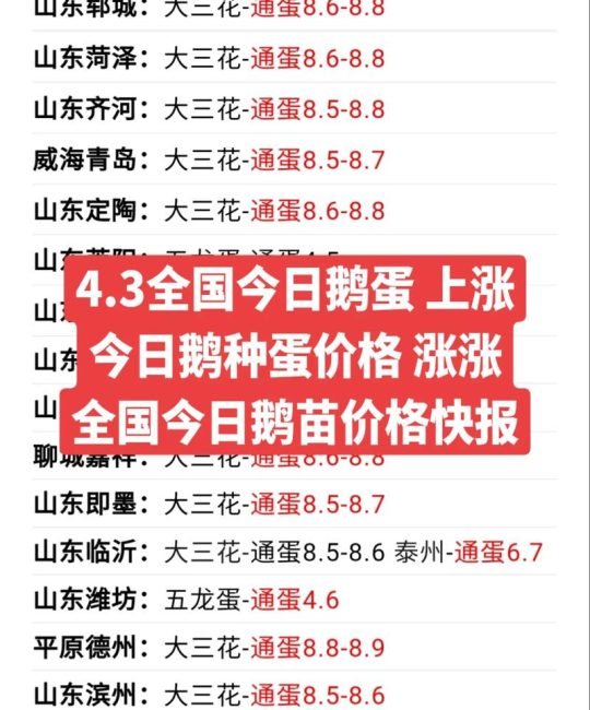 今日鹅苗价格是多少？2025年最新报价与影响因素全解析