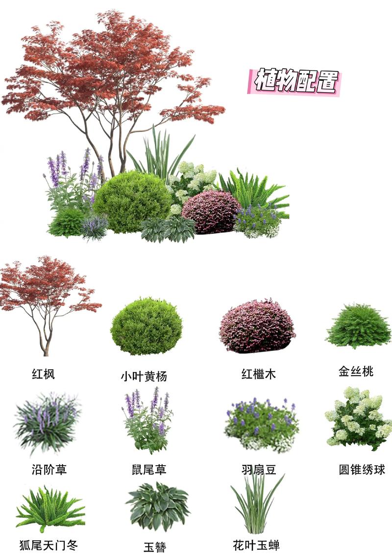 庭院草坪种什么草最好?2026年专家级选草指南 按气候区选草