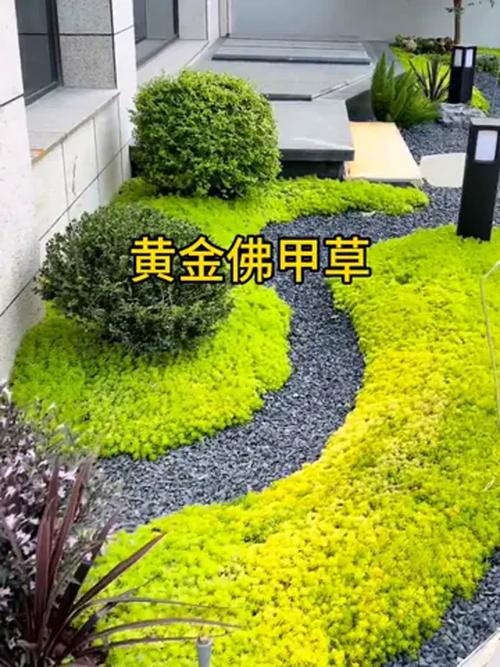 庭院草坪种什么草最好?2026年专家级选草指南 总结