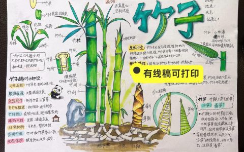 竹子种植时间和方法：从选苗到成活的全套实操指南