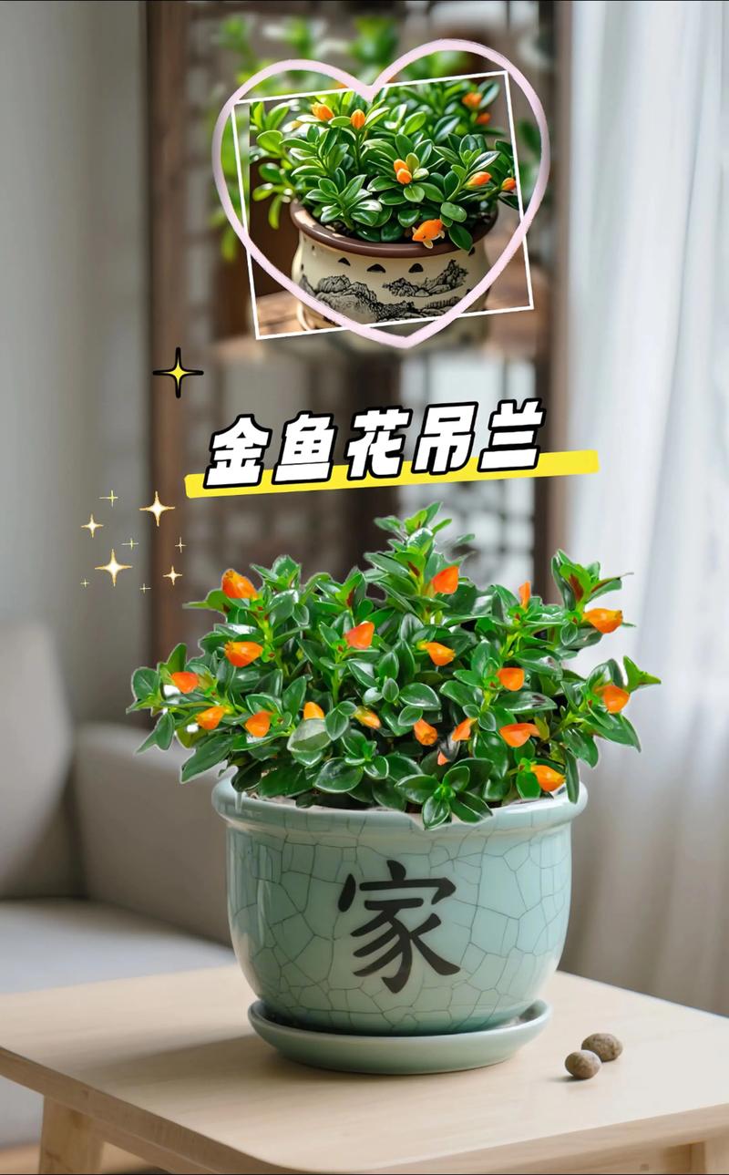 家庭养好金鱼花、吊兰与多肉植物的实用指南 修剪:轻剪为主,及时清理