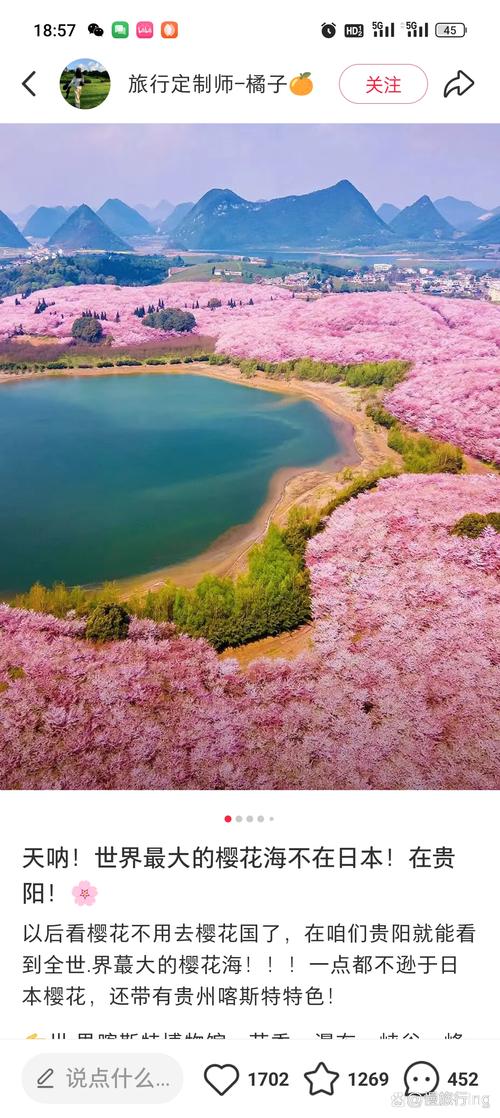 安顺樱花风景区在哪里?——从园艺角度探秘贵州最美樱花园 四、景观设计中的园艺手法