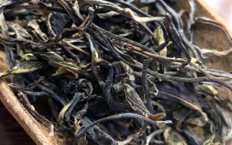 凤凰窝古树茶价格是多少？产地、年份与规格影响报价