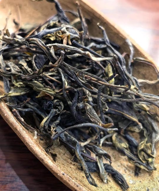 凤凰窝古树茶价格是多少？产地、年份与规格影响报价