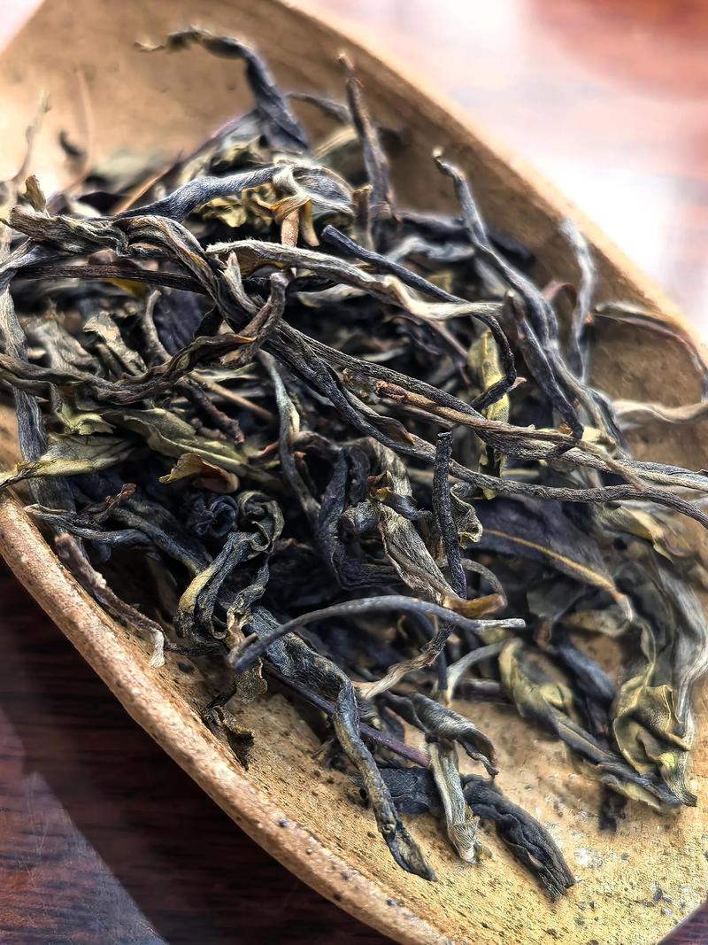 凤凰窝古树茶价格是多少？产地、年份与规格影响报价