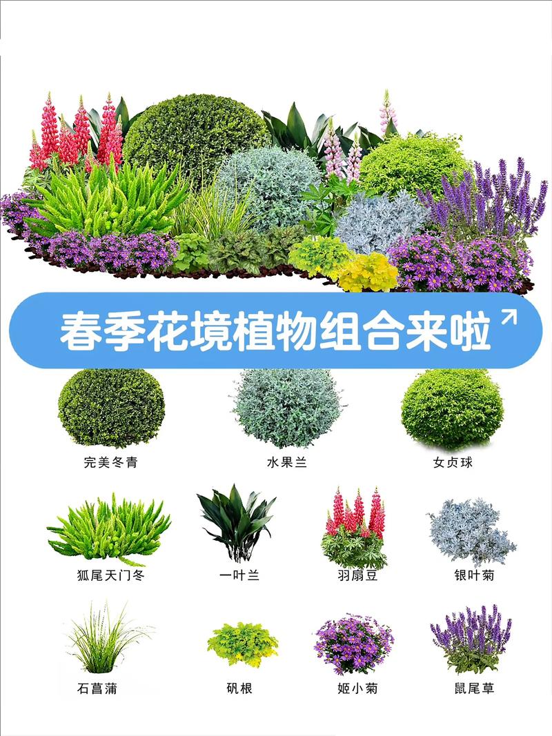 春天的开的花都有什么?春日花园赏花指南与推荐 五、园艺建议:打造持续绽放的春日花境