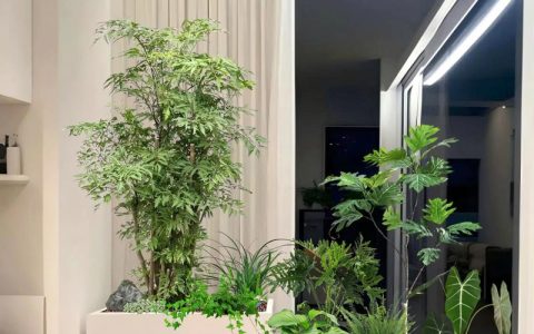 房间养花有什么讲究？从选对植物到摆放技巧，室内绿植养护全攻略