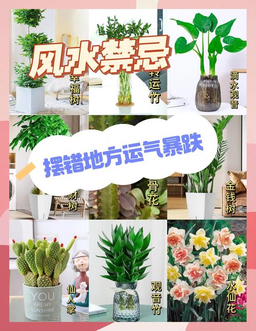 房间养花有什么讲究?从选对植物到摆放技巧,室内绿植养护全攻略 四、总结