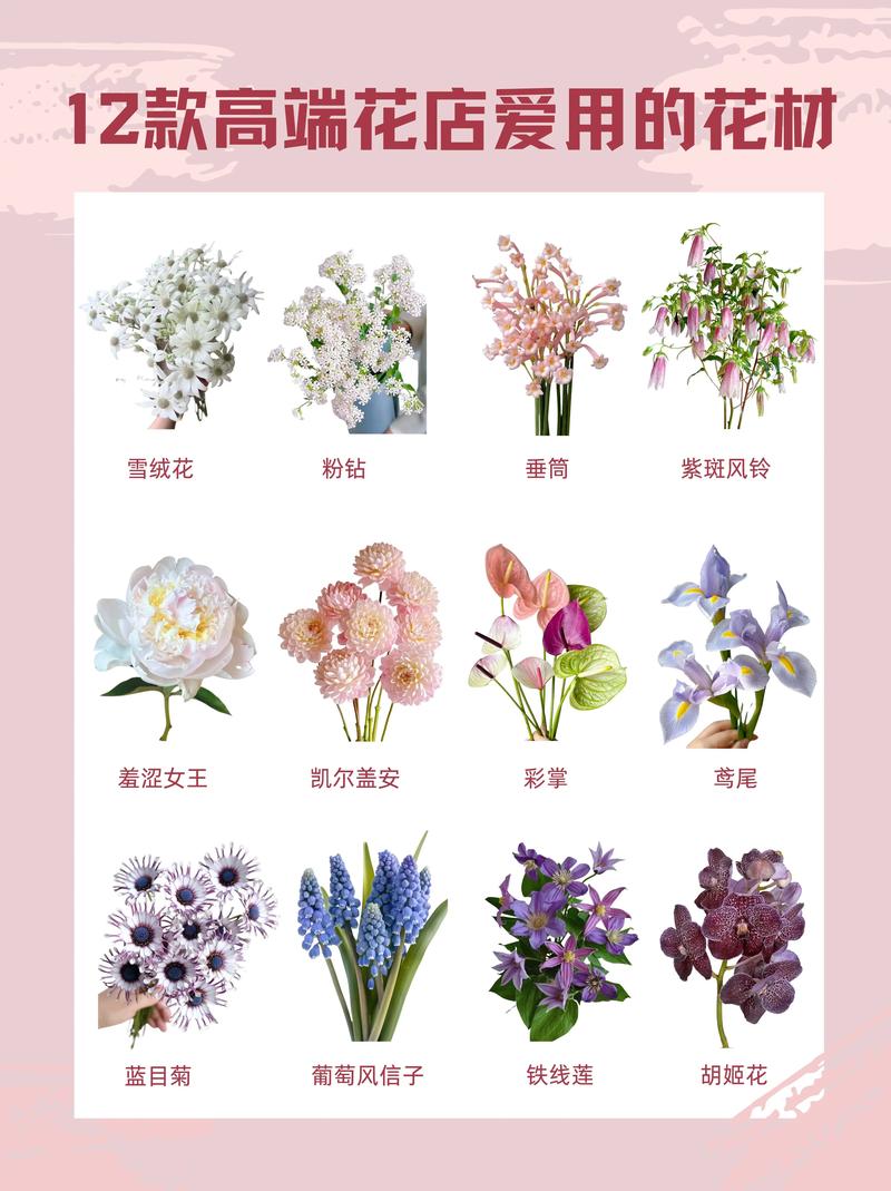 花店里有什么花?常见鲜花种类与选购指南 二、馥郁芬芳:百合与康乃馨