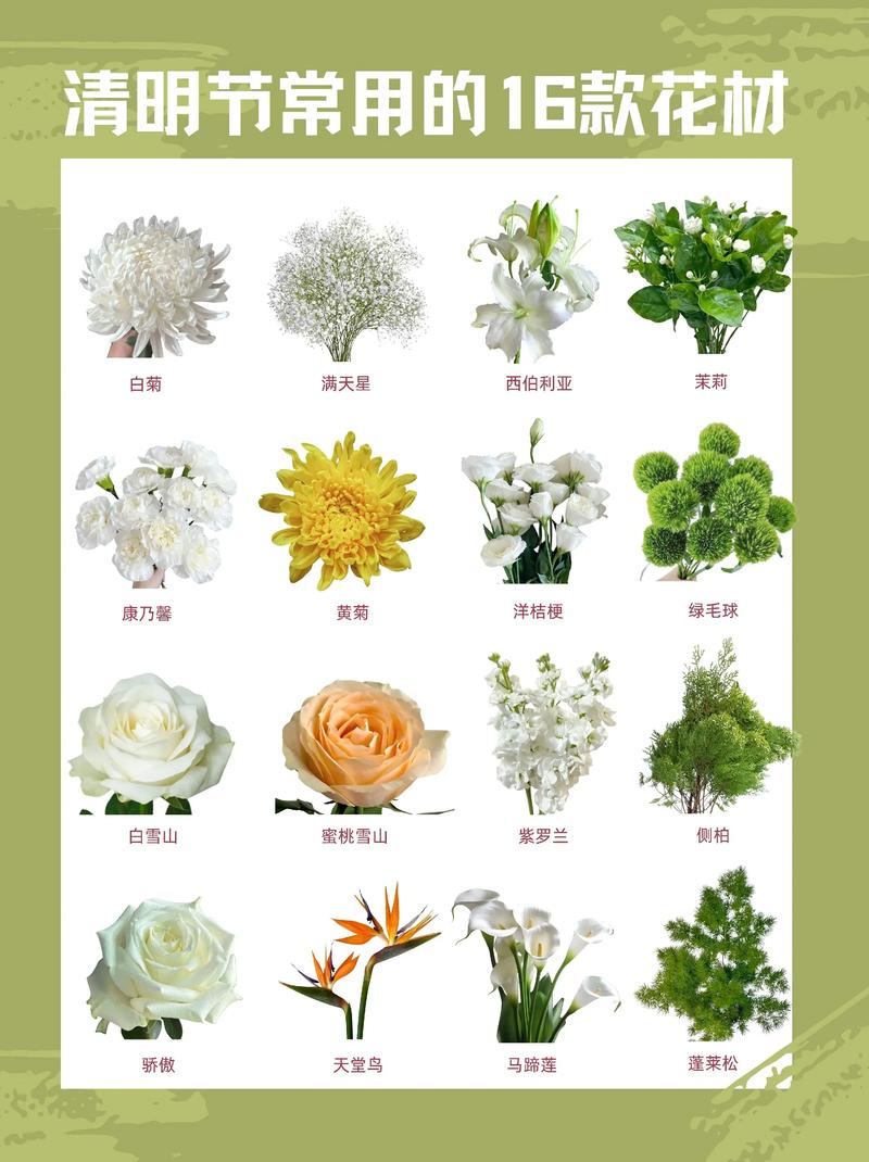 花店里有什么花?常见鲜花种类与选购指南 四、线状花材:拉长线条的“精灵”