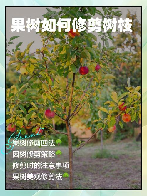 越冬越夏：修剪帮助树木平稳度过极端季节