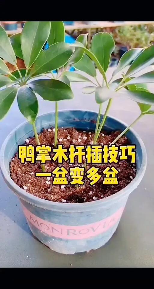 总结