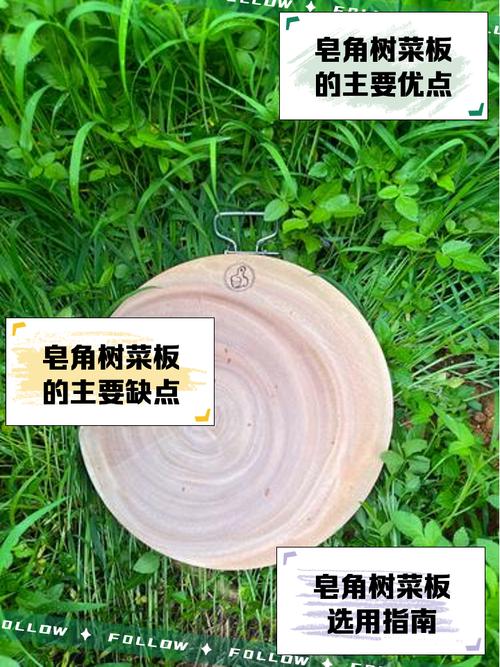 皂角树的菜板好不好?从园艺角度的深度解析 六、总结:皂角树菜板值得买吗?