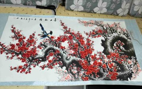 田成喜梅花价格是多少？规格、品相与市场行情深度解析