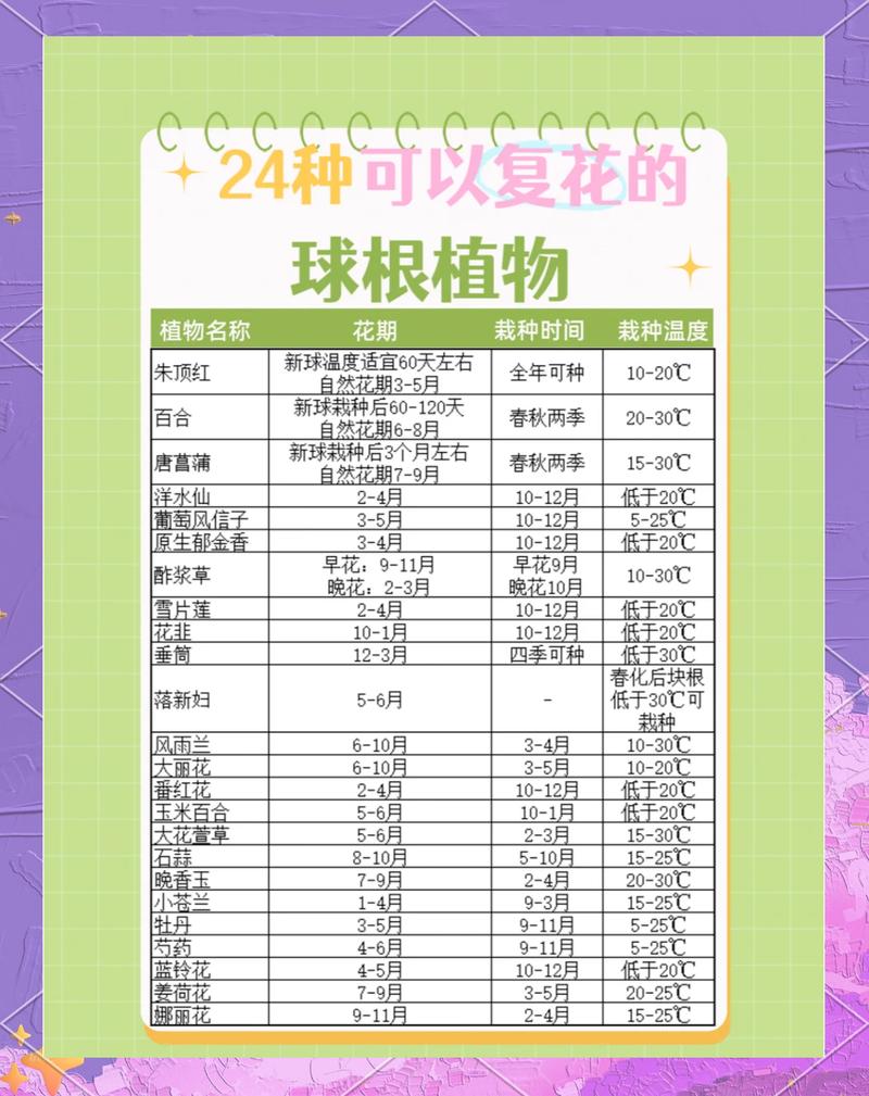 优质球根花卉主要产自哪里?全球核心产区与养护指南 盆栽/地栽选择决策