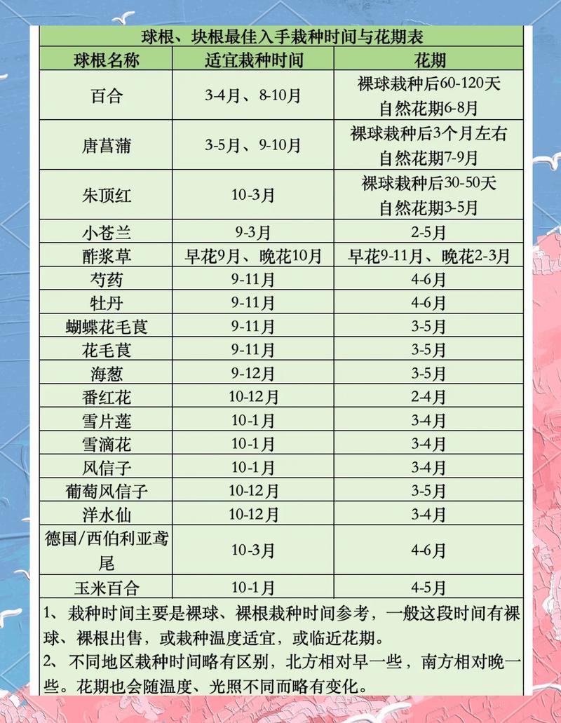 优质球根花卉主要产自哪里?全球核心产区与养护指南 常见误区与纠正