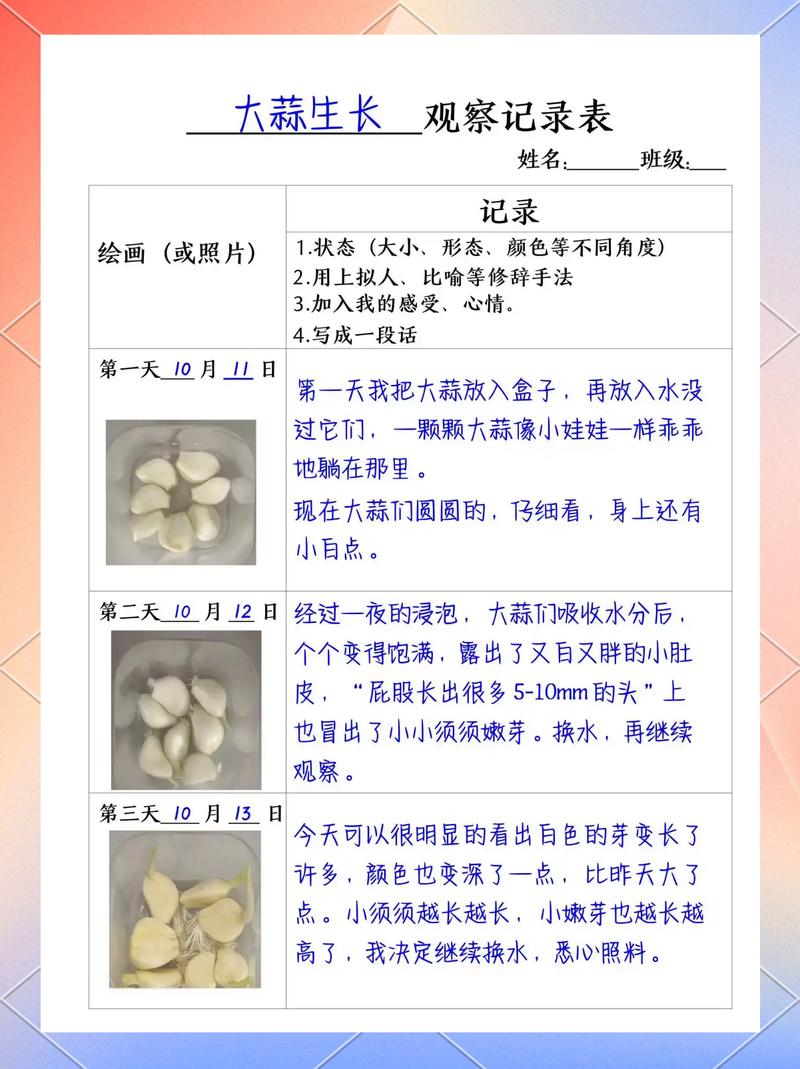 大蒜籽怎么种植出来的?从选瓣到收获的完整操作指南 七、成活注意事项 - 常见问题与补救措施