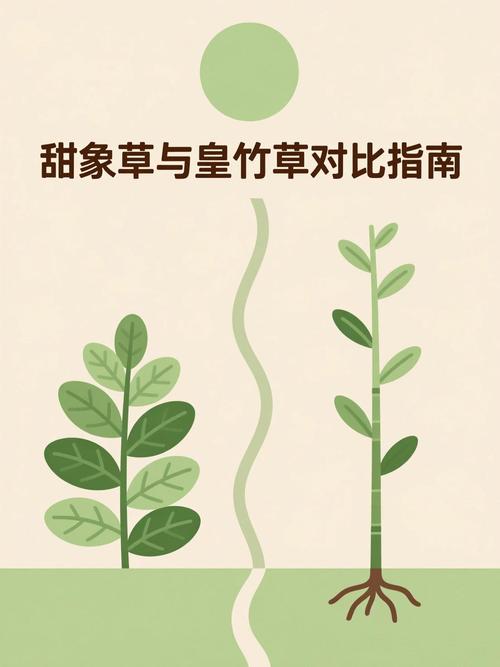 皇竹草购买渠道选择指南:科学评估供应商,避免踩坑假苗劣种 五、综合评估结论与试单策略
