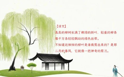 咏柳何止咏柳？从贺知章诗中看柳树的形态美与春风生机