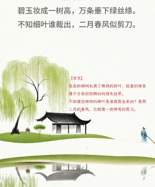 咏柳何止咏柳？从贺知章诗中看柳树的形态美与春风生机