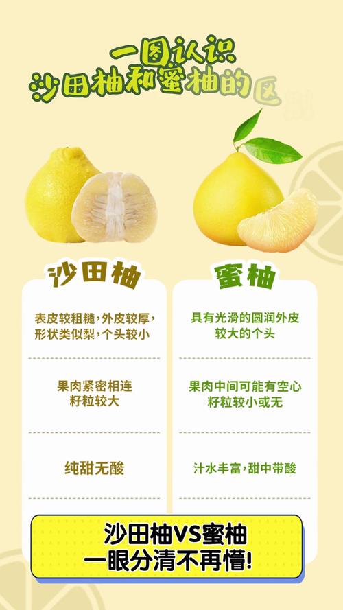 哪个品种的柚子最好吃?沙田柚与琯溪蜜柚六大维度硬核对比 二、为何琯溪蜜柚在“好吃”上更受大众欢迎?